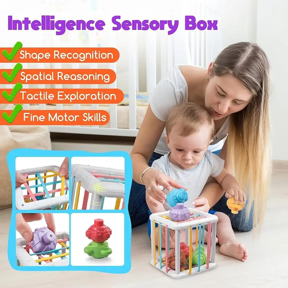Regenbogenfarbiger Montessori- – Kids Home Education Bewertung und Preis