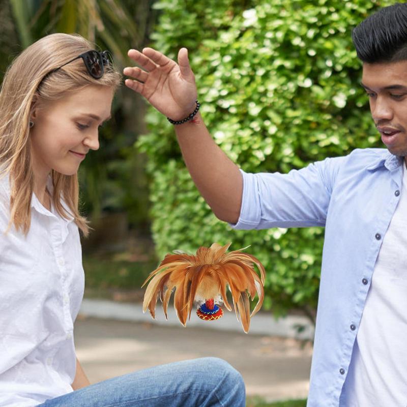 Federbälle Kick Lustige Chines – Kids Education Classes Bewertung und Preis